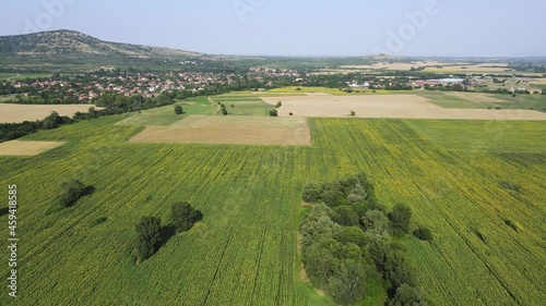 Aerial view of landscape sunflower field village of Boshulya, Pazardzhik region, Bulgaria photo