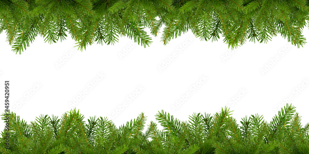 Christmas background from isolated fir branches. New Year's illustration. Unadorned rectangular banner with fir branches with blank space for copy, ad or text. Spruce twigs isolated. A repeating patte