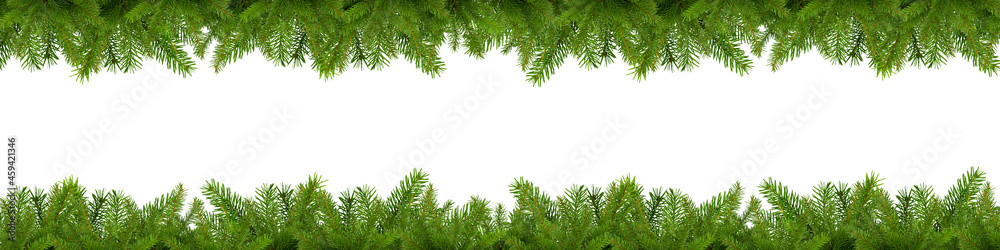 Large rectangular banner with unadorned fir branches with empty space for copy, advertisement or text. Isolated fir twigs. A repeating pattern.