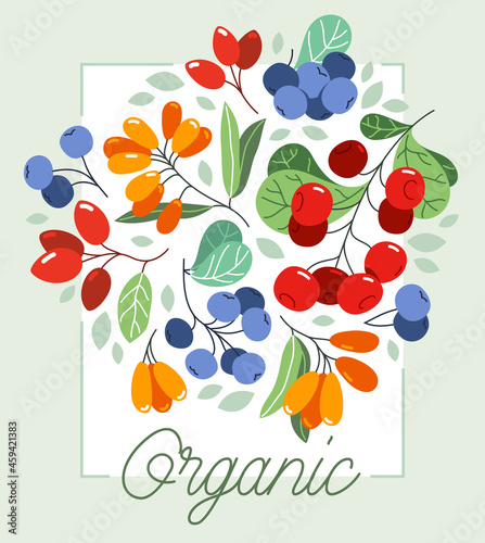 Wild berries fresh and ripe tasty healthy food vector flat style illustration isolated over white, delicious vegetation diet eating, organic food.