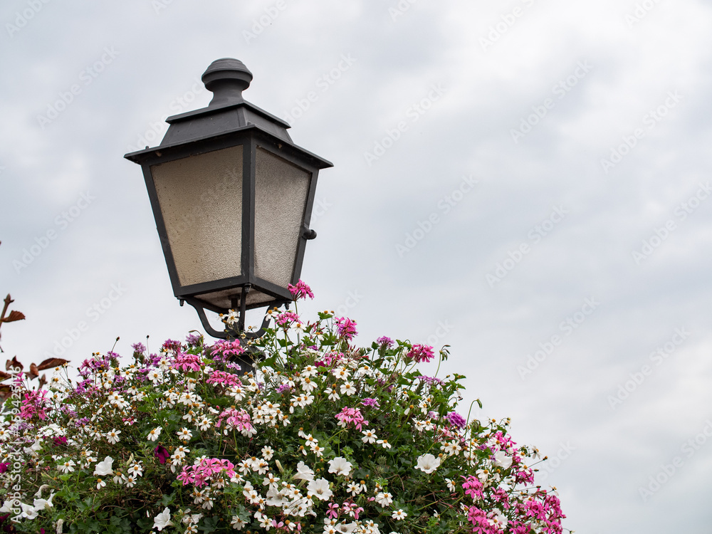 Alter elektrischer Lichtmast hinter einem Baum mit weißen und rosa Blüten.