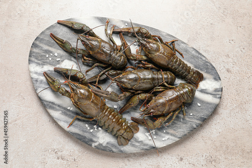 Fresh raw crayfishes with salt on light grey table, top view