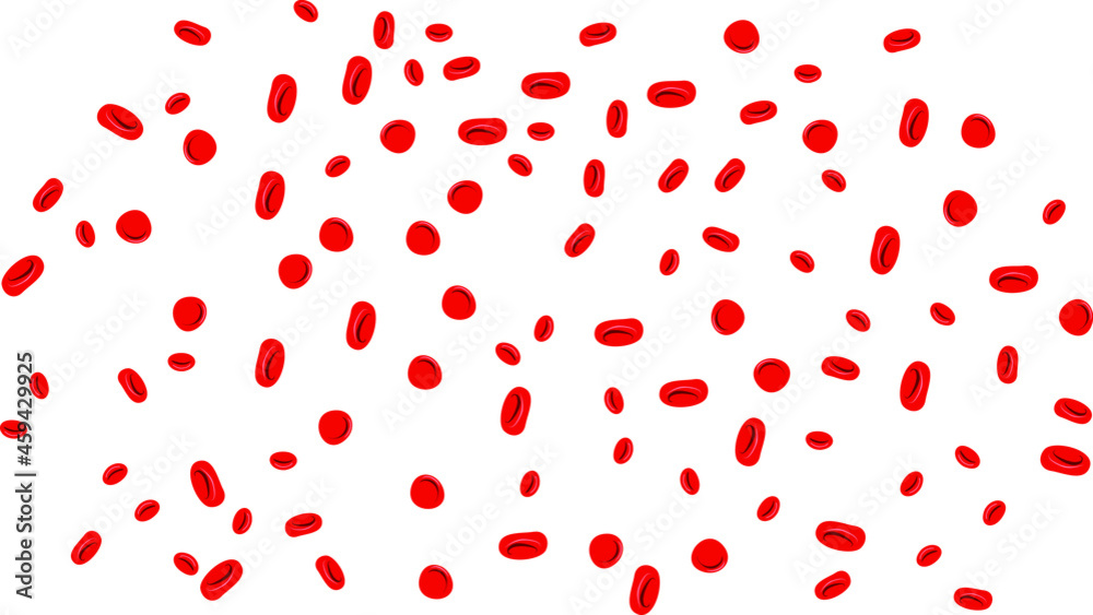 Vector of the bloody cells Vector of the bloody cells
