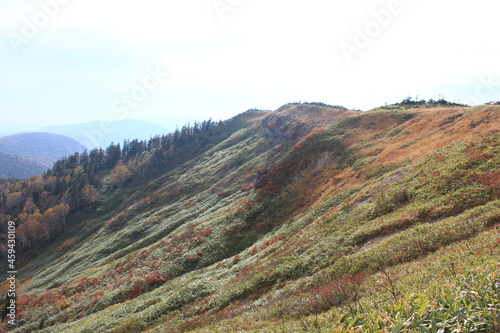 秋の尾瀬。アヤメ平を越え、尾瀬ヶ原へと向かう。クマザサ輝く山。 © onaka