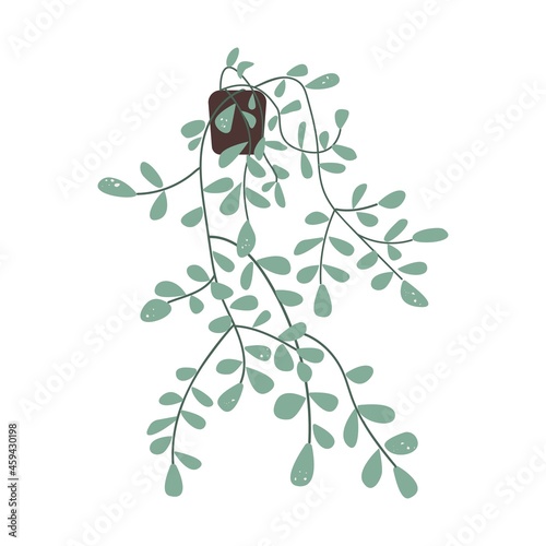 Hanging creeper house plant for wall decor. Houseplant with green leaf and liana-like sprigs. Modern foliage home interior decoration. Flat vector illustration isolated on white background