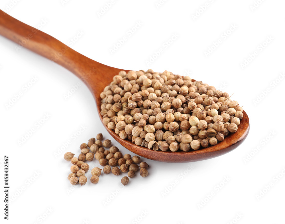 Dried coriander seeds with wooden spoon on white background Dried coriander seeds with wooden spoon on white background