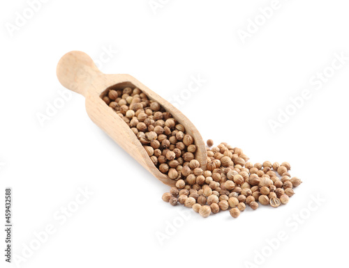 Dried coriander seeds with wooden scoop on white background