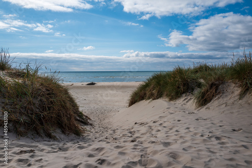 sand dunes on the beach