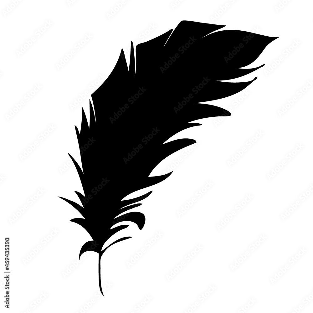 Obraz premium Feather of birds. Black feather silhouette for logo vector set