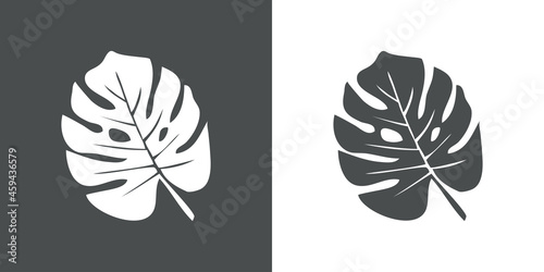 Silueta hoja de planta tropical monstera en fondo gris y fondo blanco