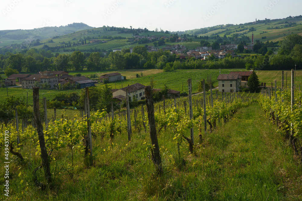 Rural landscape near Pianello Val Tidone and Agazzano, Emilia-Romagna, at May