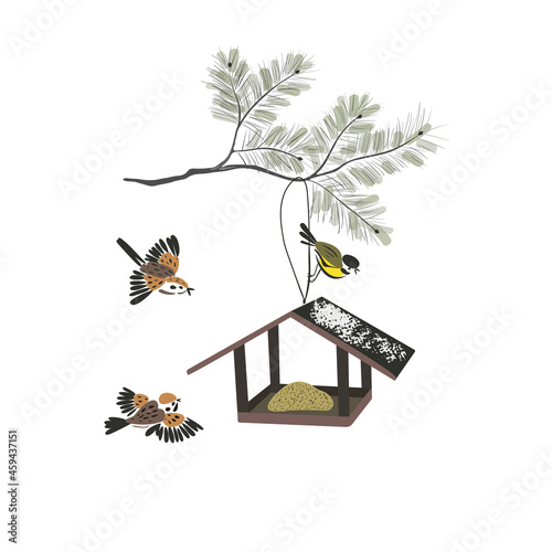 Bird feeders isolated on a white background. Feeding birds in winter. Birds fly to food. Tits and sparrows eat seeds. 