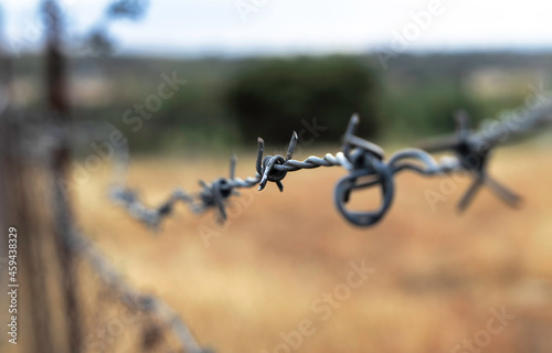 detail of a barbed wire fence with golden field in the background