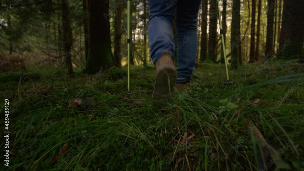 SLOW MOTION, LOW ANGLE, CLOSE UP: Unrecognizable senior woman treks around the lush green forest. Elderly woman wearing jeans uses trekking poles to explore the serene woods. Exploring the lush forest SLOW MOTION, LOW ANGLE, CLOSE UP: Unrecognizable senior woman treks around the lush green forest. Elderly woman wearing jeans uses trekking poles to explore the serene woods. Exploring the lush forest