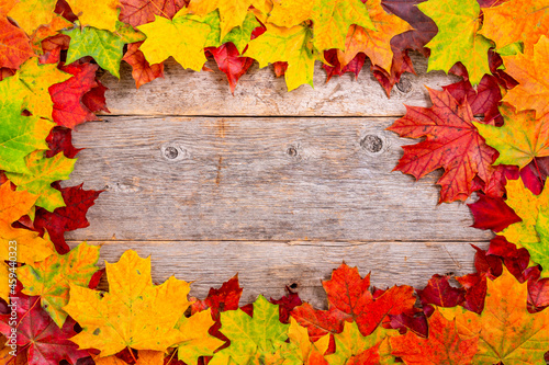 Bright autumn leaves on the old grunge wooden background