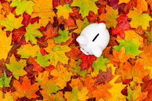Fototapeta Naklejka Na Ścianę i Meble -  Coin piggy bank on fall leaves