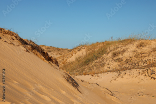 Picturesque view of desert on sunny day