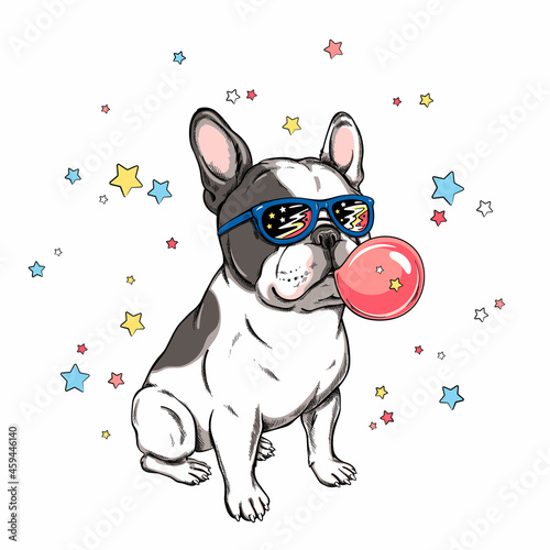 Cute french bulldog with bubble gum. Dog on a background of stars. Image for printing on any surface	