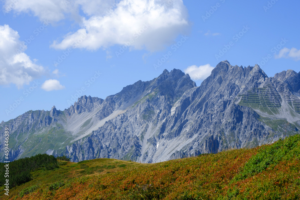 Fototapeta premium landscape in autumn