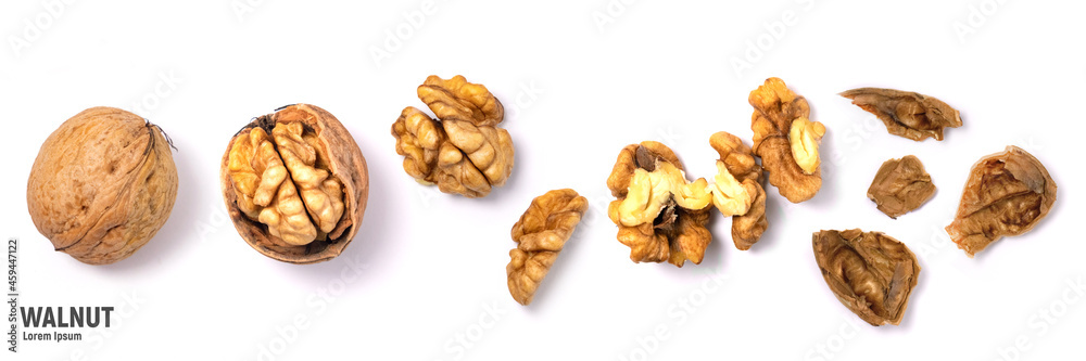 Walnuts isolated on white background. Walnut kernels and whole walnuts Walnuts isolated on white background. Walnut kernels and whole walnuts