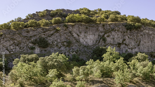 hillside with trees with a roe deer at the bottom with greenish blue and yellow colors