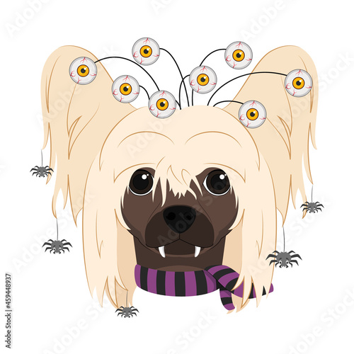 Halloween greeting card. Chinese Crested Dog dressed with terrifying eyes, several spiders falling from the hair and a purple and black scarf