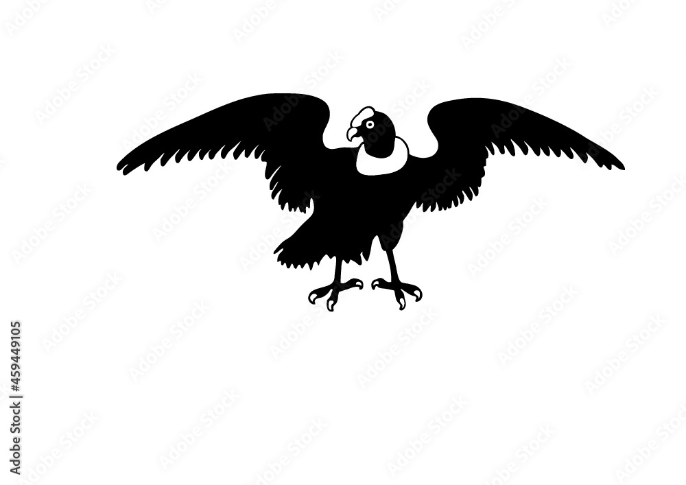 Obraz premium condor del Ecuador