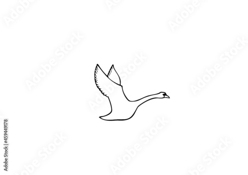 cygne vole