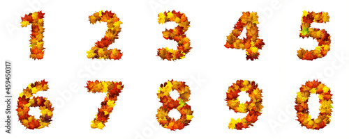 Numbers of autumn leaves isolated on white background. Set of numbers made of autumn leaves.