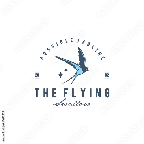Swallow Swift Bird Logo Design Vector Image