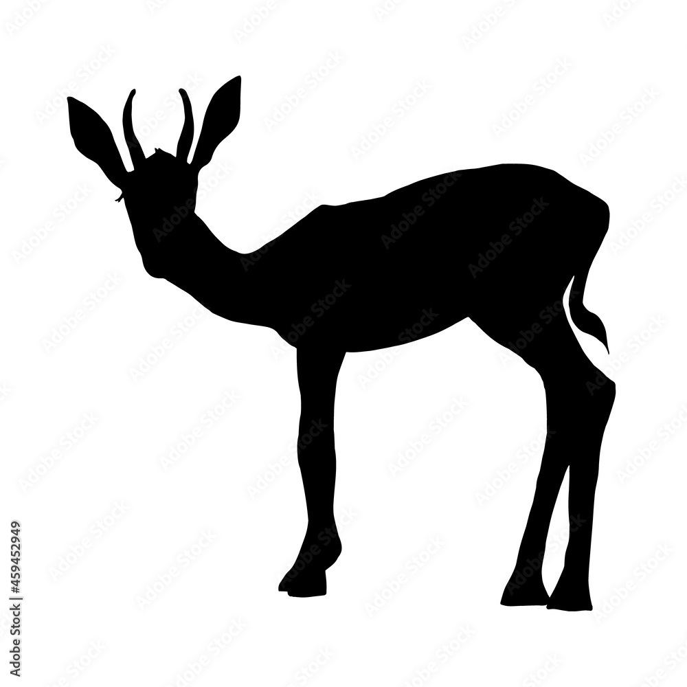 Silhouette of an antelope animal isolated on a white background.Vector illustration.