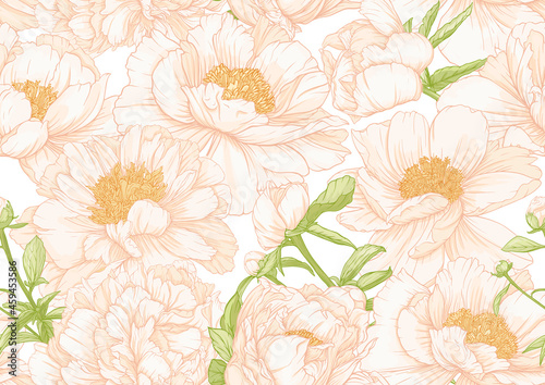 Peonies flowers. Seamless pattern  background. Colored vector illustration. In botanical style In soft orange and green colors.