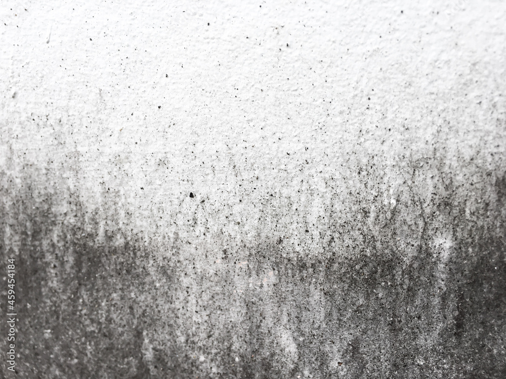 Obraz premium Old wall background