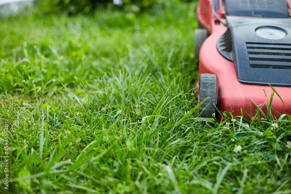 Lawnmower mows the lawn at home garden, working, sunlight, great design for any purposes, gardening concept Lawnmower mows the lawn at home garden, working, sunlight, great design for any purposes, gardening concept