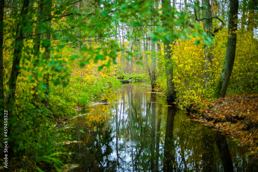 Autumn forest landscape with a small river Autumn forest landscape with a small river