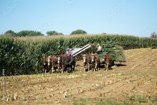 Harvesting the crops on a Lancaster County farm .