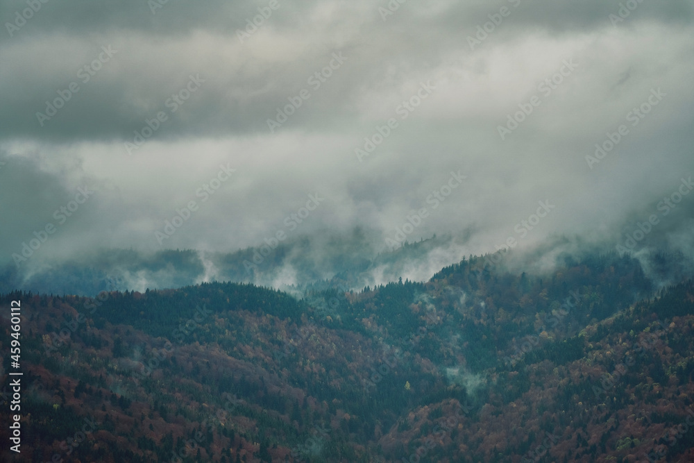 Morning fog over fir mountain forest, misty landscape, darkness clouds. Carpathians, Ukraine