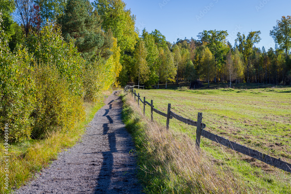 Rural road. Autumn. Field, meadow, forest, colours.
