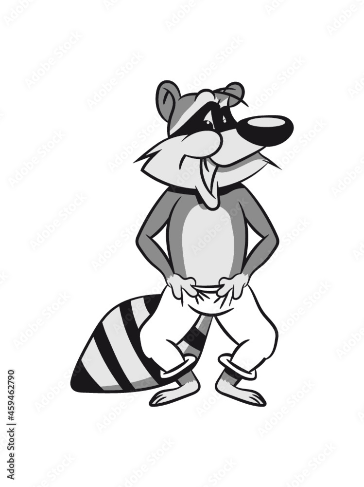Waschbär lachen lächeln Waschbär lachen lächeln