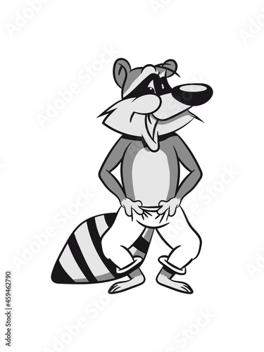 Waschbär lachen lächeln 