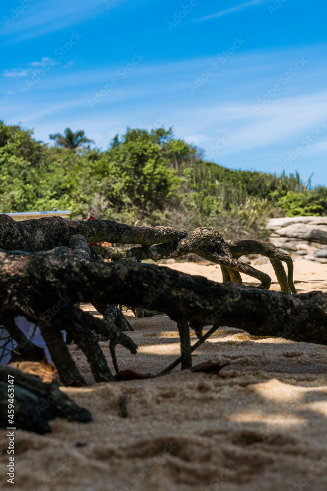 Fototapeta premium View of the Joana beach in Rio das Ostras in Rio de Janeiro. Sunny day, blue sky. Strong sea and yellowish sand and lots of rocks.