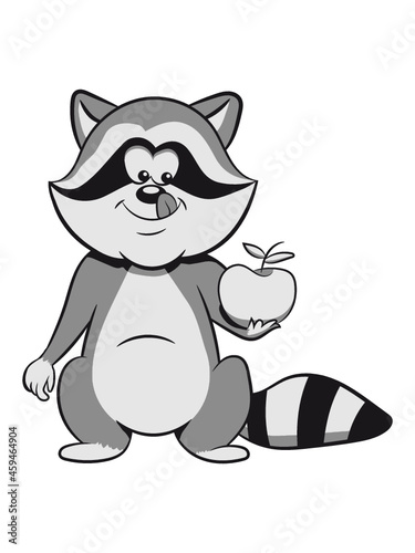 Waschbär lachen lächeln 