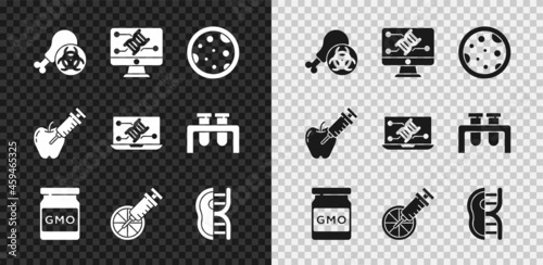 Set Gmo research chicken, Genetic engineering modification, Petri dish with bacteria, GMO, Genetically modified orange, meat, apple and icon. Vector
