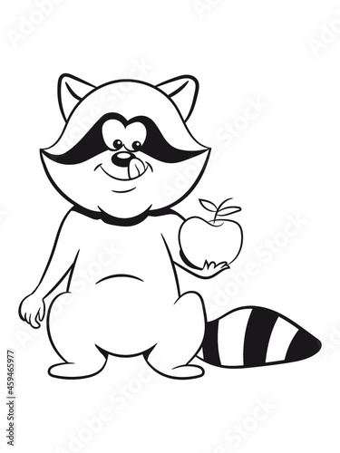 Waschbär lachen lächeln 