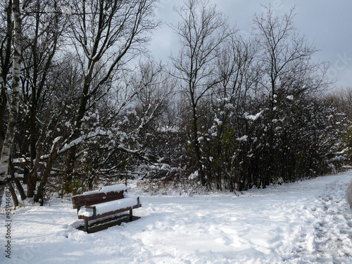 Winter landscape with bench covered by snow