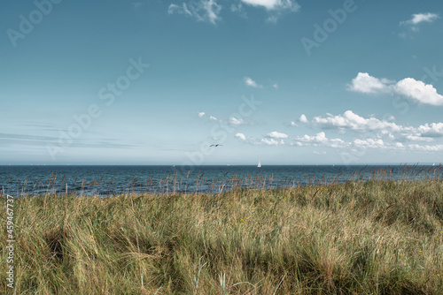 grass covered dune and baltic sea against beautiful sky