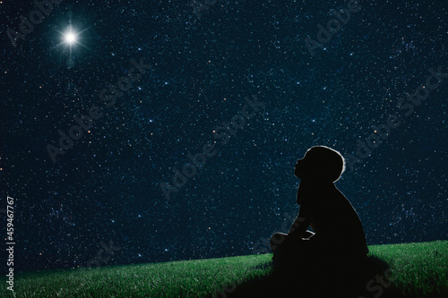 Quadro em tela child sit on the grass at night and look at the christmas night sky