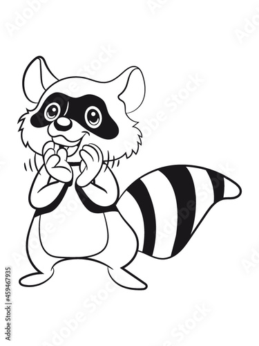 Waschbär lachen lächeln 