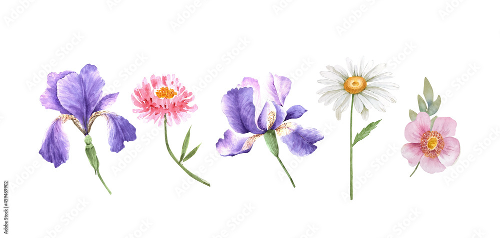 set of watercolor garden flowers and leaves on white background, hand painted set of watercolor garden flowers and leaves on white background, hand painted