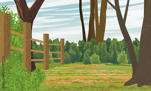 A glade fenced off from the forest by a long wooden fence. Private area. Backyard of a house with trees and bushes. Realistic vector landscape